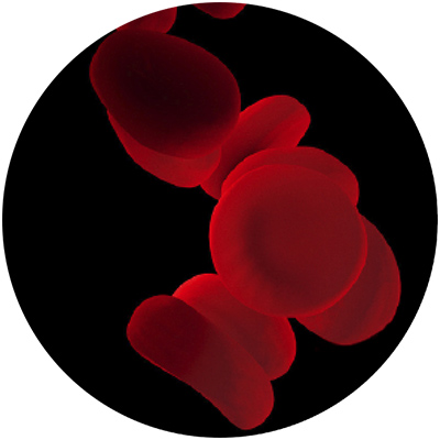 circ1