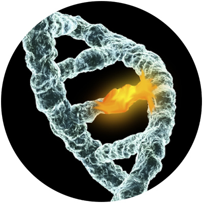 circ3 (1)